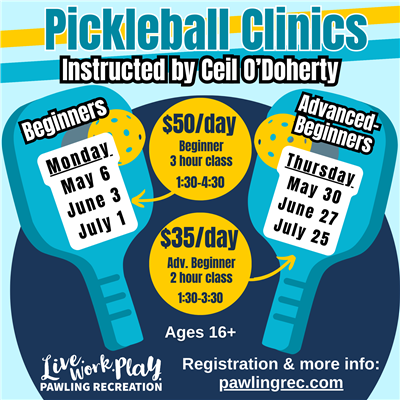 Pickleball clinics flyer